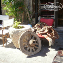 фото из отзыва ID 313951