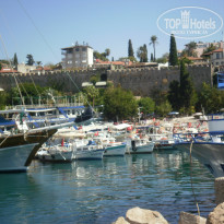 фото из отзыва ID 313951