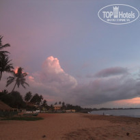 фото из отзыва ID 314590