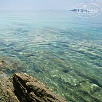 фото из отзыва ID 314880