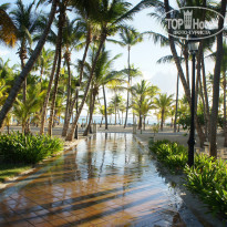 фото из отзыва ID 314907