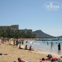 фото из отзыва ID 314923