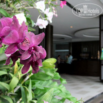 фото из отзыва ID 315400