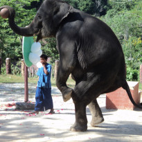 фото из отзыва ID 315538