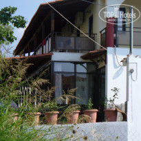 фото из отзыва ID 315542