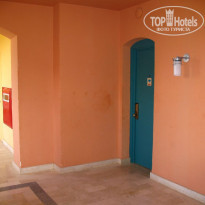 фото из отзыва ID 315956