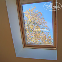 фото из отзыва ID 316006