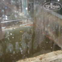 фото из отзыва ID 316020