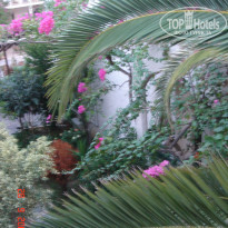 фото из отзыва ID 316106