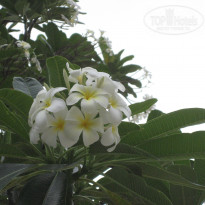 фото из отзыва ID 316490