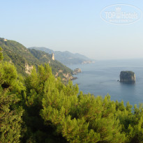 фото из отзыва ID 317160