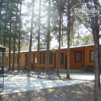 фото из отзыва ID 317167