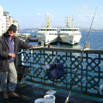 фото из отзыва ID 318429