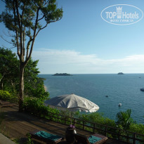 фото из отзыва ID 318704