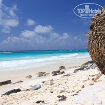 фото из отзыва ID 319417