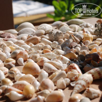 фото из отзыва ID 319475