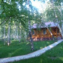 фото из отзыва ID 320437