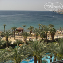 фото из отзыва ID 320447