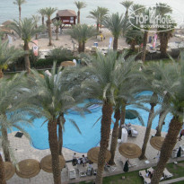 фото из отзыва ID 320447