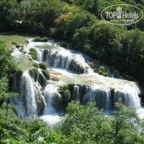 фото из отзыва ID 320776