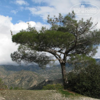 фото из отзыва ID 320830