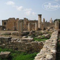 фото из отзыва ID 320830