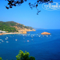 фото из отзыва ID 32136