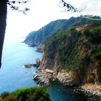 фото из отзыва ID 32136