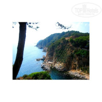 фото из отзыва ID 32137