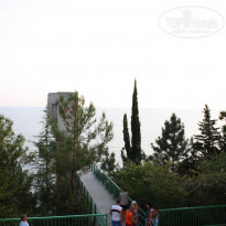 фото из отзыва ID 321079