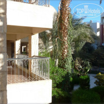 фото из отзыва ID 321547