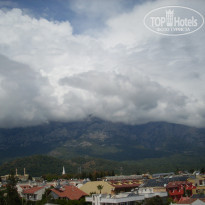 фото из отзыва ID 321576