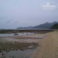 фото из отзыва ID 321894