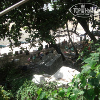 фото из отзыва ID 322173