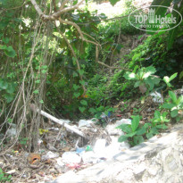 фото из отзыва ID 322173