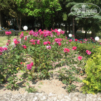 фото из отзыва ID 322527