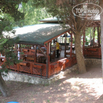 фото из отзыва ID 322527