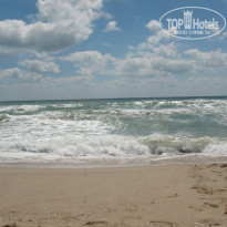 фото из отзыва ID 322527