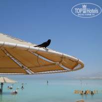 фото из отзыва ID 323436