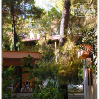 фото из отзыва ID 323804