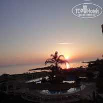 фото из отзыва ID 323869