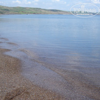 фото из отзыва ID 324417