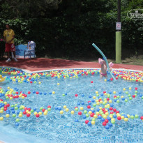 фото из отзыва ID 324504