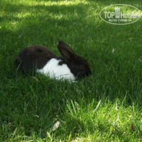 фото из отзыва ID 324611