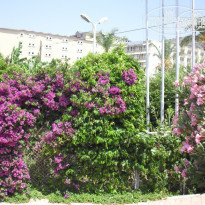 фото из отзыва ID 324612