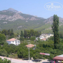 фото из отзыва ID 32510