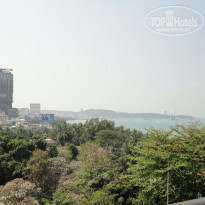 фото из отзыва ID 325129