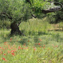 фото из отзыва ID 325260