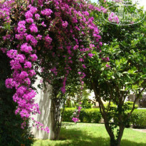 фото из отзыва ID 327040