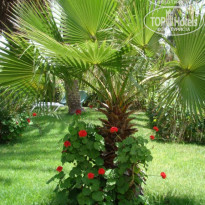 фото из отзыва ID 327040